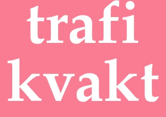 Synonym trafikvakt