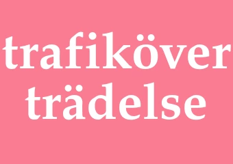 Synonym trafiköverträdelse