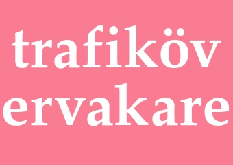 Synonym trafikövervakare