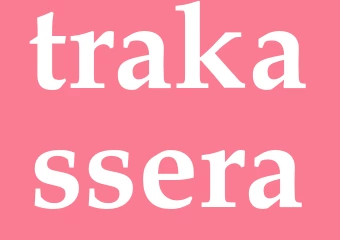Synonym trakassera