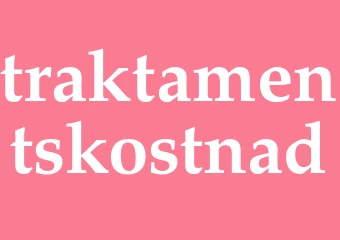 Synonym traktamentskostnad