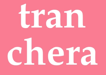 Synonym tranchera