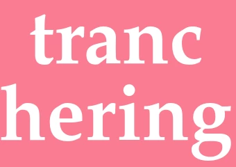Synonym tranchering