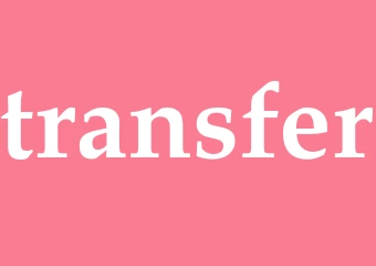 Synonym transfer