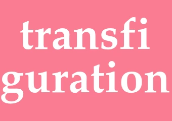 Synonym transfiguration