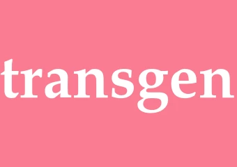 Synonym transgen