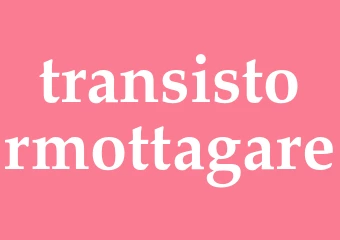Synonym transistormottagare