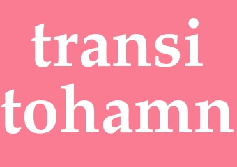 Synonym transitohamn