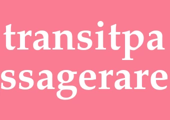 Synonym transitpassagerare