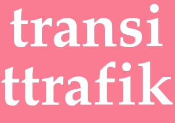 Synonym transittrafik