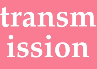 Synonym transmission