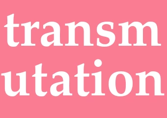 Synonym transmutation