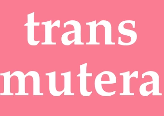Synonym transmutera