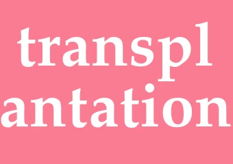 Synonym transplantation