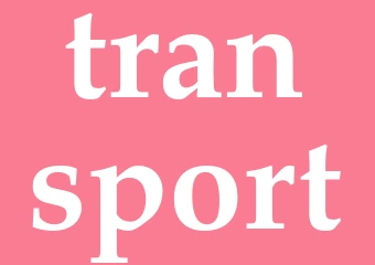 Synonym transport