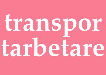 Synonym transportarbetare