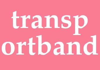 Synonym transportband