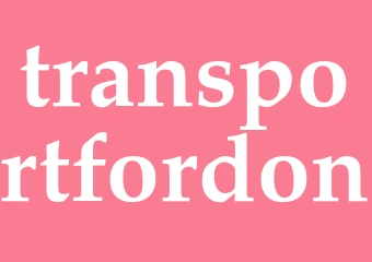 Synonym transportfordon