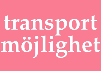 Synonym transportmöjlighet