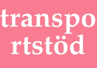 Synonym transportstöd