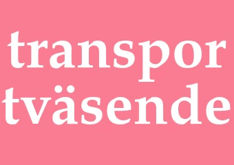 Synonym transportväsende