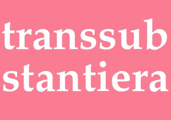 Synonym transsubstantiera