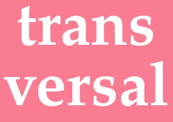 Synonym transversal
