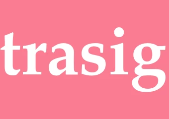 Synonym trasig