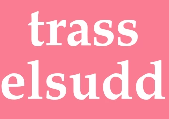 Synonym trasselsudd