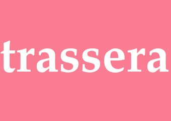 Synonym trassera