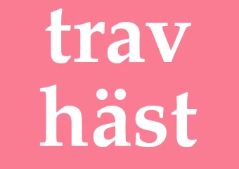 Synonym travhäst