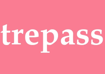 Synonym trepass