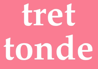 Synonym trettonde