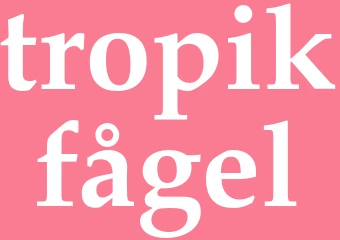 Synonym tropikfågel