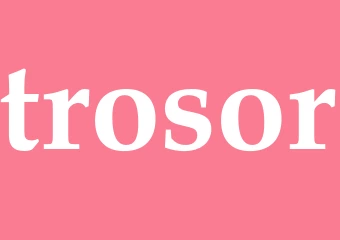 Synonym trosor