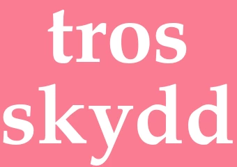 Synonym trosskydd