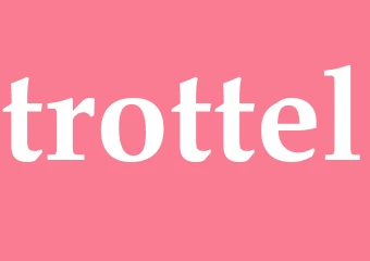 Synonym trottel