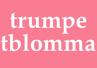 Synonym trumpetblomma
