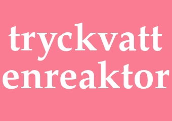 Synonym tryckvattenreaktor