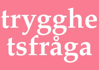 Synonym trygghetsfråga