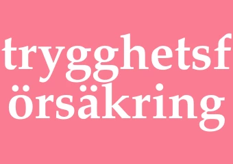 Synonym trygghetsförsäkring