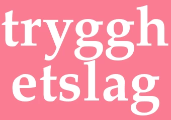 Synonym trygghetslag
