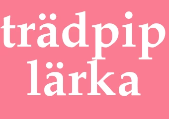 Synonym trädpiplärka
