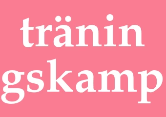 Synonym träningskamp