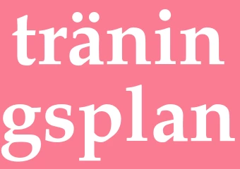 Synonym träningsplan