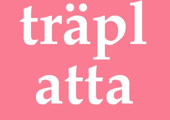 Synonym träplatta