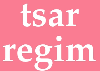 Synonym tsarregim