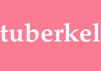 Synonym tuberkel