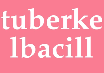 Synonym tuberkelbacill
