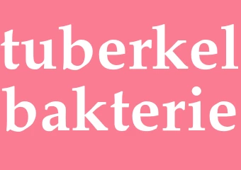 Synonym tuberkelbakterie